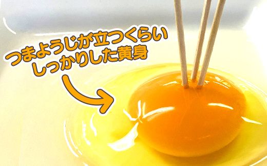 【半年間6回 定期便】ひまわりたまご紅白セット 月１回（全６回）半年セット ※破卵補償 卵 鶏卵 玉子 大容量