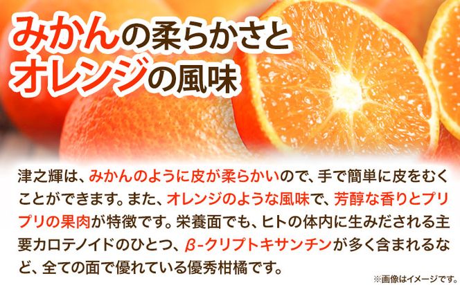 【先行予約】津之輝(つのかがやき) 約5kg 株式会社魚鶴商店《2025年2月上旬-2月末頃出荷予定》 和歌山県 日高町 柑橘 フルーツ---wsh_utstk_ac2_23_16000_5kg---