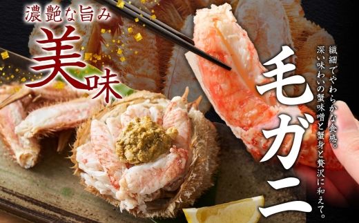 3419. 毛蟹 2尾 計700g前後 ホタテ 300g 専用ハサミ・食べ方ガイド付き 毛ガニ 毛がに 蟹 カニ カニ味噌 ほたて 帆立 貝柱 海鮮 ボイル 送料無料 北海道 弟子屈町