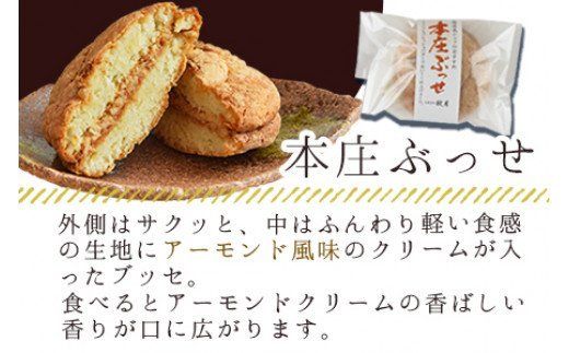 ＜本庄ぶっせ 5個 ＆ 本庄ショコラ 5個（合計10個）＞2か月以内に順次出荷【a0356_ak_x1】