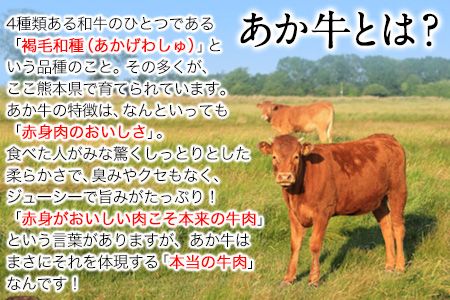 あか牛 切り落とし 500g 肉のみやべ《120日以内に出荷予定(土日祝除く)》モモ バラ カタ 熊本県産 熊本県 御船町---sm_fmiyaakkr_120d_23_11000_500g---