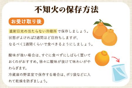 森田果樹園の不知火 5kg《2027年2月中旬-4月下旬頃出荷》森田果樹園 果物 フルーツ 柑橘 熊本---hkw_mtk_7_5kg---