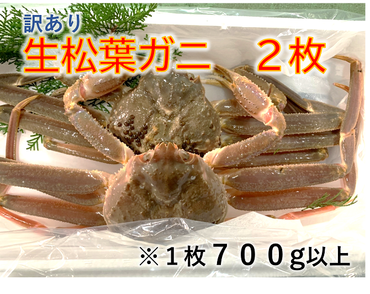 1141 【魚倉】訳あり生松葉ガニ２枚セット