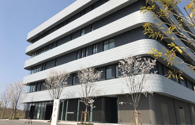 099H2973 IGTクリニック 特殊がん検診 男性安心セット【がん専門 クリニック 泉佐野市 りんくう】