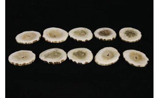 350.弟子屈産エゾシカ角ボールマーカー