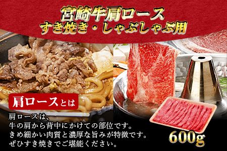 ＜3か月定期便 宮崎牛お楽しみセット＞翌月末迄に第一回目発送【a0321_em_x3】