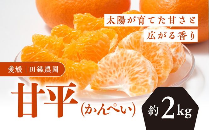 【先行予約】【数量限定】田縁農園の甘平（かんぺい）2kg ｜ 柑橘 みかん ミカン フルーツ 果物 愛媛 ※離島への配送不可 ※2025年3月下旬～4月中旬頃に順次発送予定