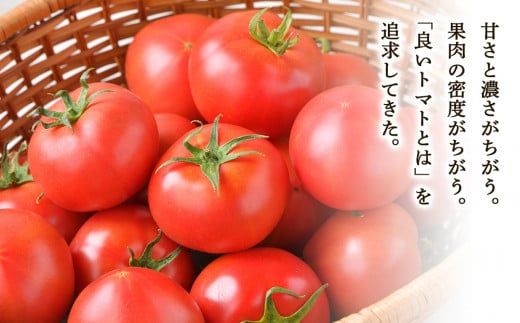 【定期便6回】中野ファームのトマトジュース 180ml×5本セット 食塩無添加 添加物不使用