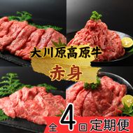 【CF】《定期便》全4回お届け！大川原高原牛　赤身(スライス・切り落とし・焼肉・しゃぶしゃぶ)《お申込み月の翌月から出荷開始》---sanagouchi_nfw_17_tei---