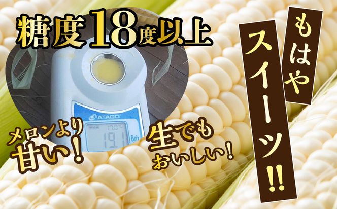 ＜26年発送先行予約＞富士山の大地から待望の白いとうもろこし！フルーツではなくもはやスイーツ☆純白富士恵味6～8本 白い恵味 FAH007