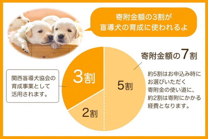 【返礼品なし】盲導犬の育成を応援しよう！（10,000円単位でご寄附いただけます。※3割を盲導犬育成に活用）