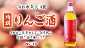 【 特選 】 りんご酒 アルコール 15％ （ 500ml × 1本 ） 果実酒 お酒 酒 リンゴ りんご 林檎 [DP006ci]