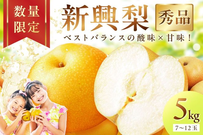 【先行予約／数量限定500】新興梨（秀品） 5kg（7～12玉）（2026年9月下旬～発送）　DE00164