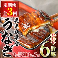 【36039】＜定期便・全3回＞東串良町のうなぎ蒲焼(無頭)(2尾・計約300g・タレ、山椒付×3回)うなぎ 高級 ウナギ 鰻 国産 蒲焼 蒲焼き たれ 鹿児島 ふるさと 人気【アクアおおすみ】