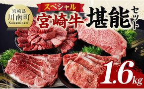 宮崎牛 堪能セット 【スペシャル】 合計1.6kg【 肉 牛肉 国産 宮崎県産 黒毛和牛 和牛 モモスライス カルビ 】[D11414]