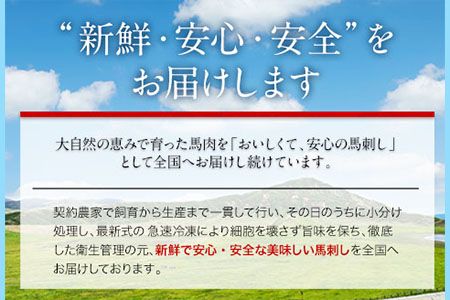 国産上赤身馬刺し 600g《30日以内に出荷予定（土日祝を除く）》熊本県 南阿蘇村 南阿蘇L（阿蘇牧場） 馬刺し---sms_fmassfb_30d_r7_21000_600g---
