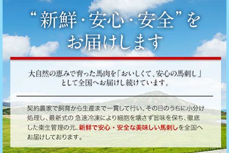 国産上赤身馬刺し 600g《30日以内に出荷予定（土日祝を除く）》熊本県 南阿蘇村 南阿蘇食品 馬刺し---sms_fmassfb_30d_24_22500_600g---