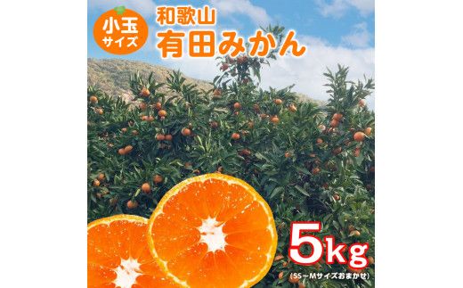 【ご家庭用】和歌山有田みかん約5kg(SS、S、Mサイズ)【美浜町】 ※2023年10月下旬頃～2024年1月中旬頃に順次発送予定 ※北海道・沖縄・離島への配送不可