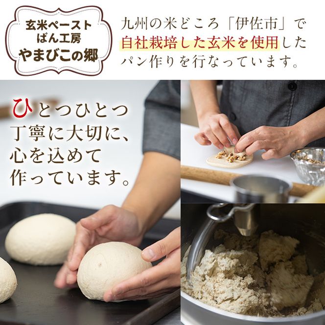 Z5-03 プレミアム玄米カンパーニュセット(2個) 自社栽培した玄米を使用したパン【やまびこの郷】