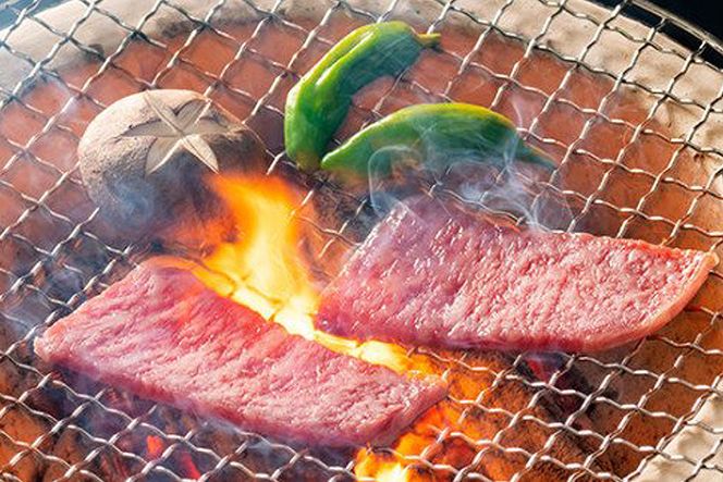 飛騨牛ロース焼肉用 約300g（5等級/冷凍） [No.214]