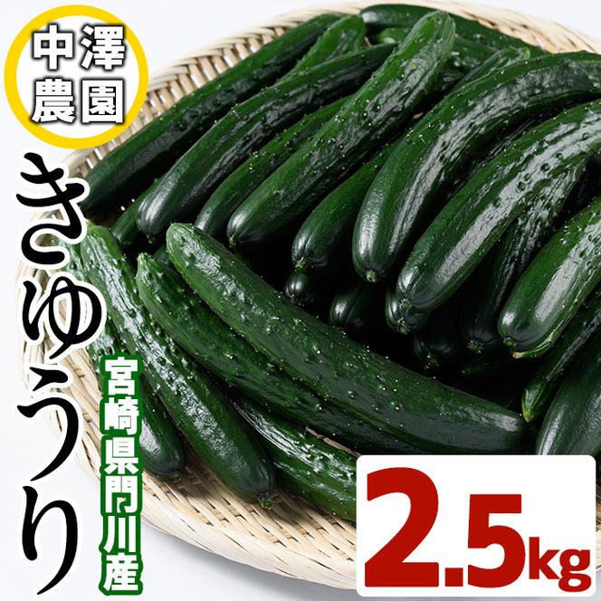 宮崎県産きゅうり(2.5kg)野菜 やさい サラダ 胡瓜 漬物 キムチ 冷蔵【NS-2】【中澤農園】