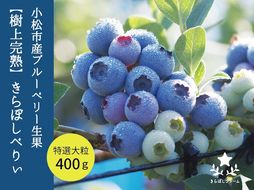小松産ブルーベリー【きらぼしべりぃ】生果　400g 013021