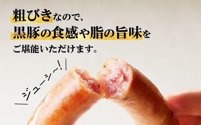 【内容量が選べる】至高の鹿児島黒豚ウインナー　K161-007