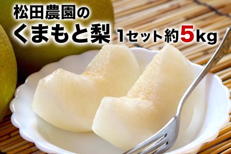 �y�F�{���ʓ����z�y��s�\��z�w���c�_���x�̋ʓ��� (��5kg 8-18�ʑO��) �\���t���s7�����{-9�������o�ׁt �F�{�� �ʖ��S �ʓ��� �� �i�V �t���[�c �ʕ� �������� �M�t�g ���� 5kg---sg_cmtdnasi_cf79_26_16000_5kg---