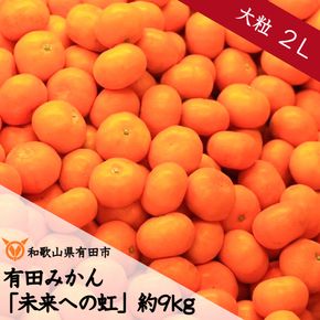 240.【大粒･2L】有田みかん「未来への虹」（約9kg） (A240-1)