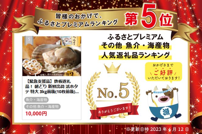 【緊急支援品】朝どり 新鮮出荷 活ホタテ 特大 3kg前後(10枚前後)　【UY0000013】