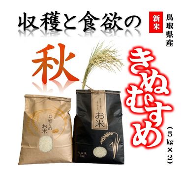 1028 鳥取県河原町産 きぬむすめ お米作り1年生