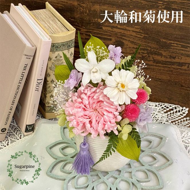 yʌtszAJ118-2@vU[uht[@G@@ts@VK[pC