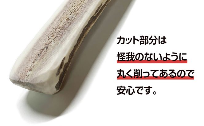 鹿の角 犬のおもちゃ 半割2本 冷たかっ 鹿の角 犬のおもちゃ 半割2本 冷たかっ