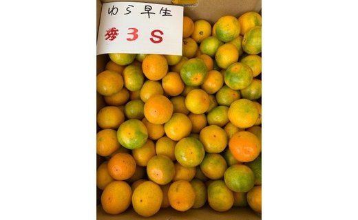 ゆら早生みかん 赤秀品 3Sサイズ 5kg CC21