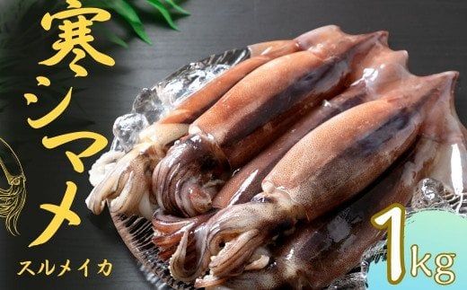 [朝どれスルメイカ丸ごと5本]寒シマメ スルメイカ 1kg 冷凍 刺身 個包装 捌き方説明書付き( いか 烏賊 イカ スルメ )