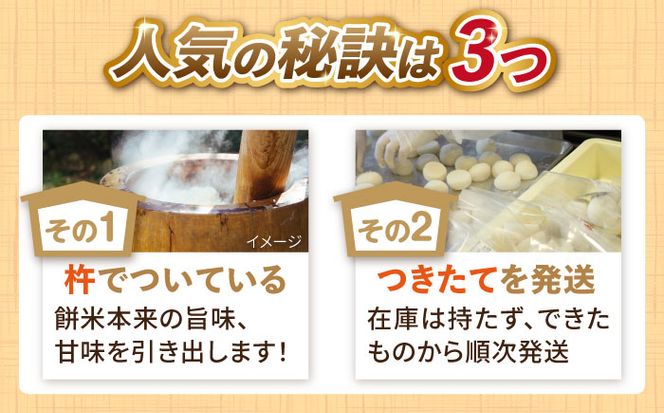 【1月以降発送】築上町産 本格 杵つき 生もち 「 かき餅 」 4種類 12袋《築上町》【アルク農業サービス合同会社】 餅 お餅 もち [ABAB003]