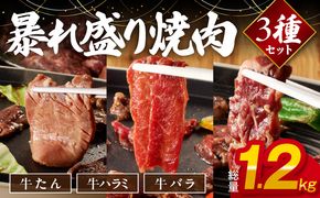 099H2875 暴れ盛り 焼肉 3種セット 総量 1.2kg （牛タン／牛ハラミ／バラ）