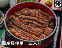 おうちでひつまぶし３人前と白焼き３人前／炭火焼うなぎ