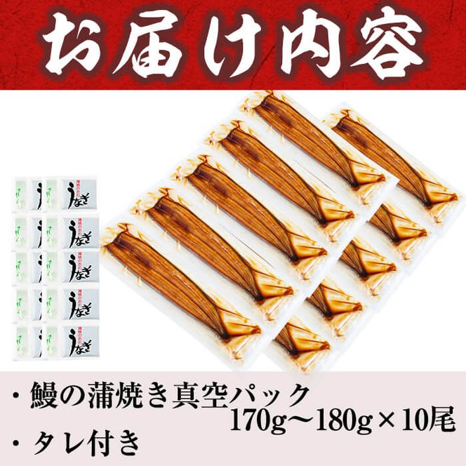 うなぎの大楠＜特大＞10尾セット計1.7kg(170g×10) g4-017
