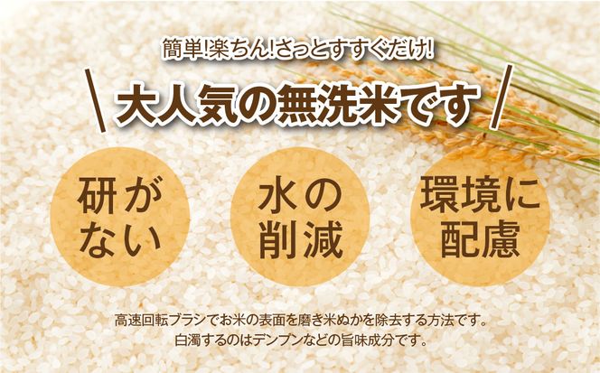 【 無洗米 】令和7年産 コシヒカリ 20kg ( 5kg × 4袋 )   米 お米マイスター 食味鑑定士 福島県産 田村市 安藤米穀店