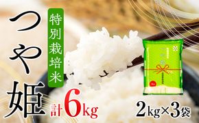 コシヒカリ発祥の地のブランド米 つや姫 6kg 2kg×3袋 令和6年産 2024年産【1058-014A】