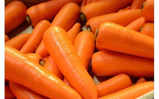 碧南市を代表するブランド人参「へきなん美人」 にんじん 10kg H017-100