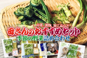 母さんのおすすめセット〜季節の野菜詰め合わせ〜|02_sns-020201