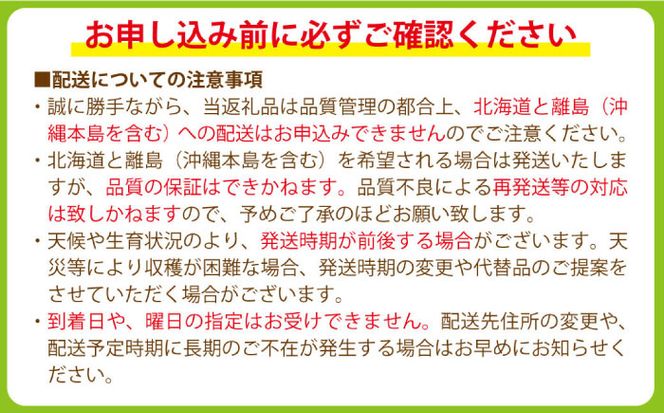 【2026年8月中旬～発送】シャインマスカット 2kg（3房～5房） / フルーツ ぶどう ブドウ 産地直送 / 南島原市 / 長崎県農産品流通合同会社[SCB084]