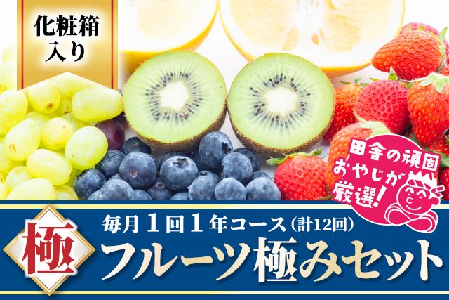 田舎の頑固おやじが厳選！フルーツ極み定期便セット【毎月1回1年コース(計12回)】［化粧箱入り］ ［BI65-NT］