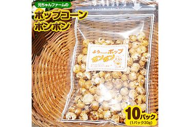 ポップコーンポンポン 元ちゃんファーム[30日以内に出荷予定(土日祝除く)] 和歌山県 紀の川市 トウモロコシ 菓子 ポップコーン 送料無料---wsk_gncpcpp_30d_22_14000_300g---