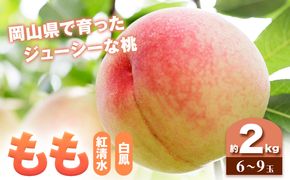 【2025年7月発送】【先行予約】もも 桃 紅清水・白鳳 どちらかお届け 2kg 6～9玉 小寺農園《2025年7月上旬-7月下旬頃出荷》 岡山県 笠岡市 岡山県産 紅清水 白鳳 モモ 果物 フルーツ 先行予約---A-30a---