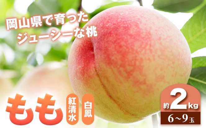 【2025年7月発送】【先行予約】もも 桃 紅清水・白鳳 どちらかお届け 2kg 6～9玉 小寺農園《2025年7月上旬-7月下旬頃出荷》 岡山県 笠岡市 岡山県産 紅清水 白鳳 モモ 果物 フルーツ 先行予約---A-30a---