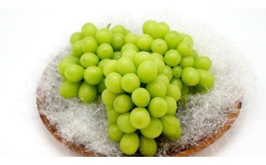 D3-05 至極の果実　おおいたのシャインマスカット2kg