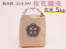 栃木県コシヒカリ 「桜花爛漫」 玄米 5kg 【ご飯 お米 コメ コシヒカリ 栃木県産 さくら市産】 ※北海道・沖縄・離島への配送不可 ※着日指定不可◇